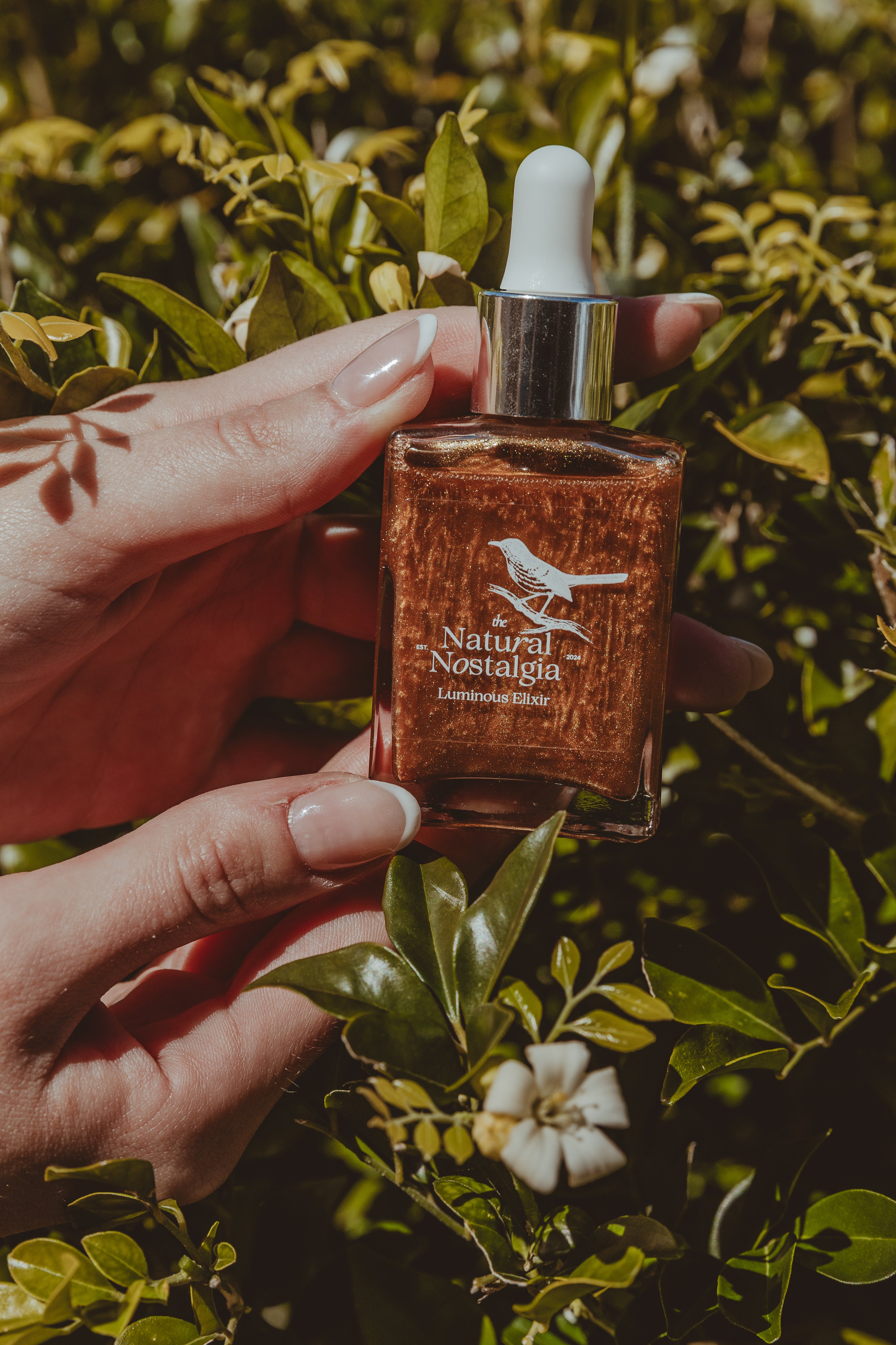 luminous elixir image 0