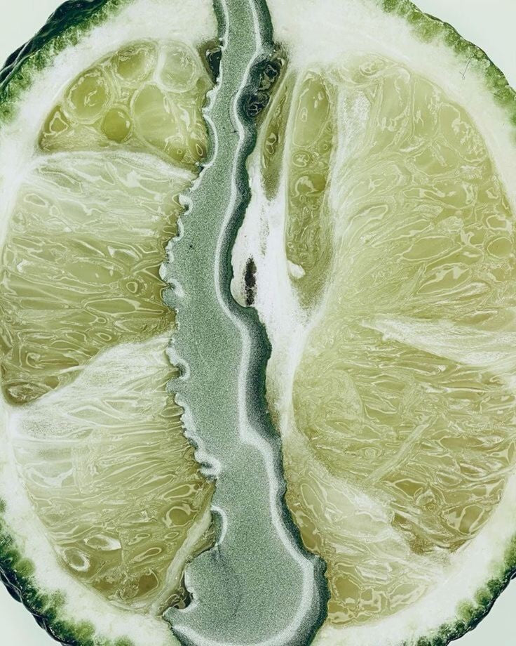 citrus grove enzyme cleanser